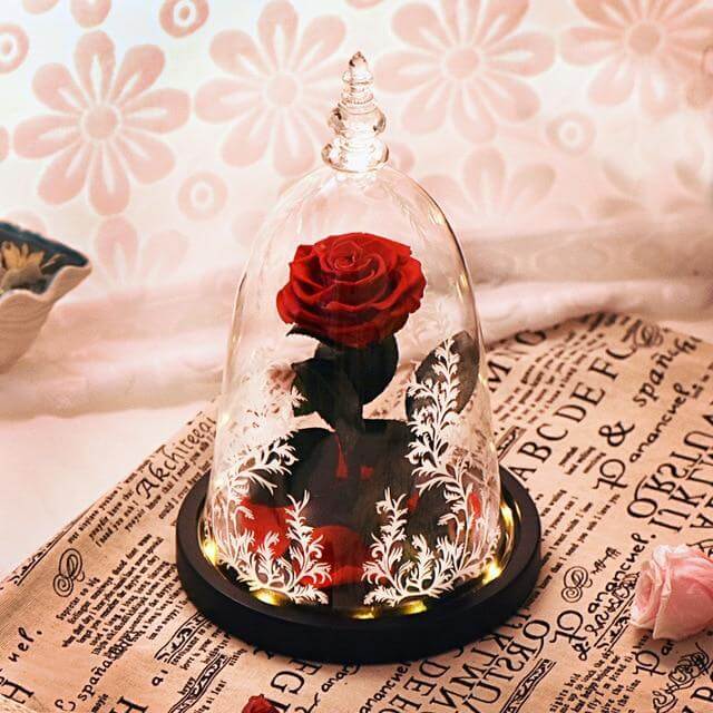 Beauty and the Beast Rose in Glass with Lights, for Christmas Valentine's Day
