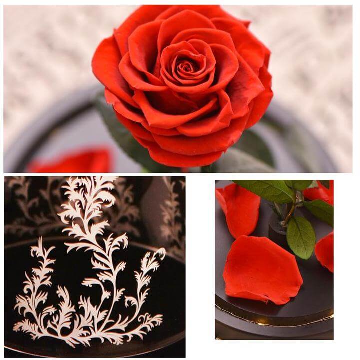 Beauty and the Beast Rose in Glass with Lights, for Christmas Valentine's Day