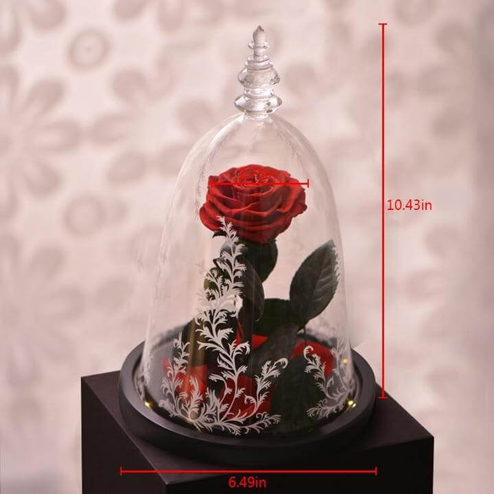 Beauty and the Beast Rose in Glass with Lights, for Christmas Valentine's Day
