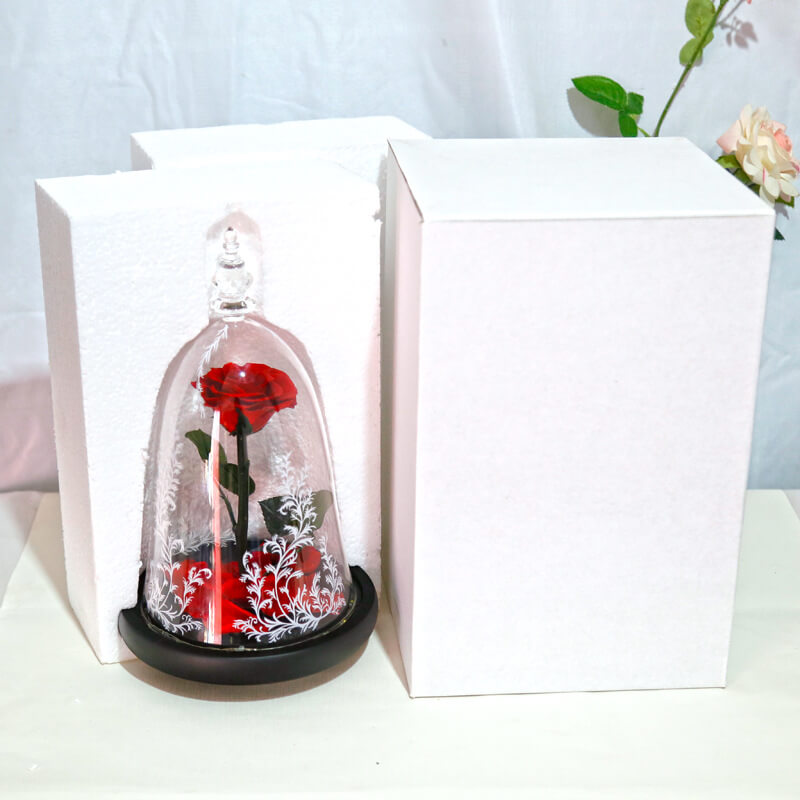 Beauty and the Beast Rose in Glass with Lights, for Christmas Valentine's Day