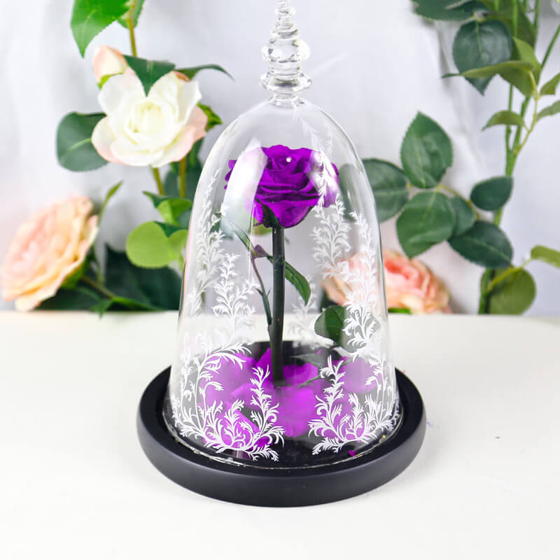 Beauty and the Beast Rose in Glass with Lights, for Christmas Valentine's Day
