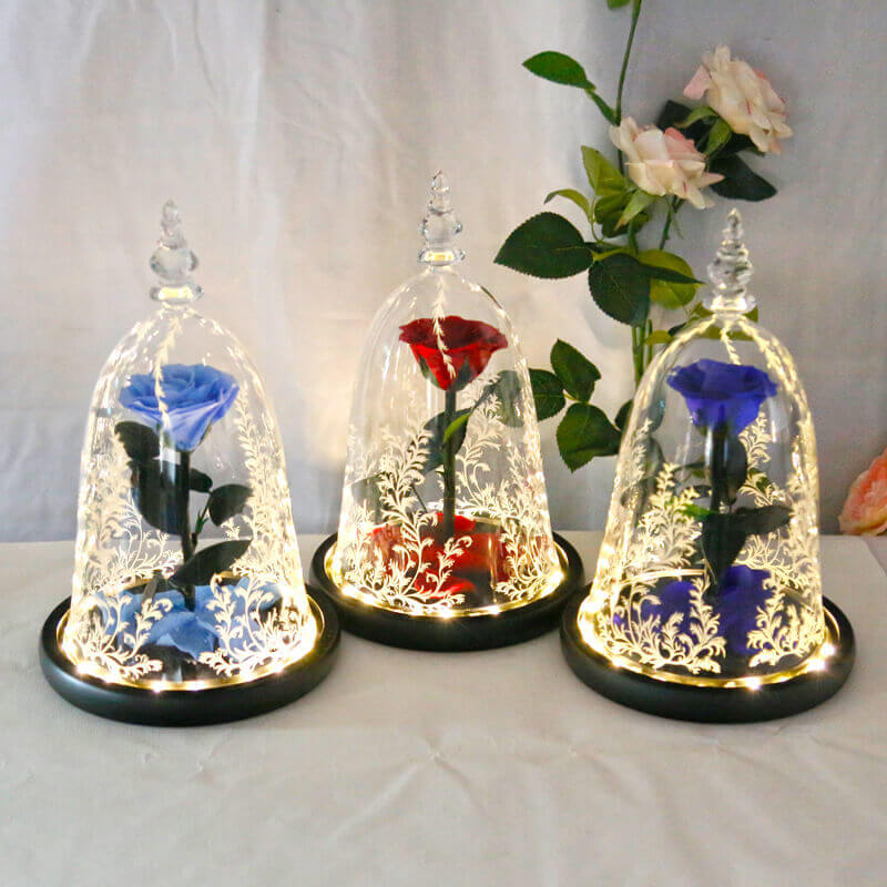 Beauty and the Beast Rose in Glass with Lights, for Christmas Valentine's Day