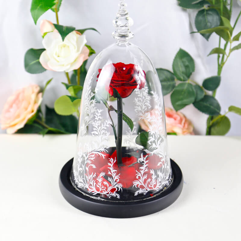 Beauty and the Beast Rose in Glass with Lights, for Christmas Valentine's Day