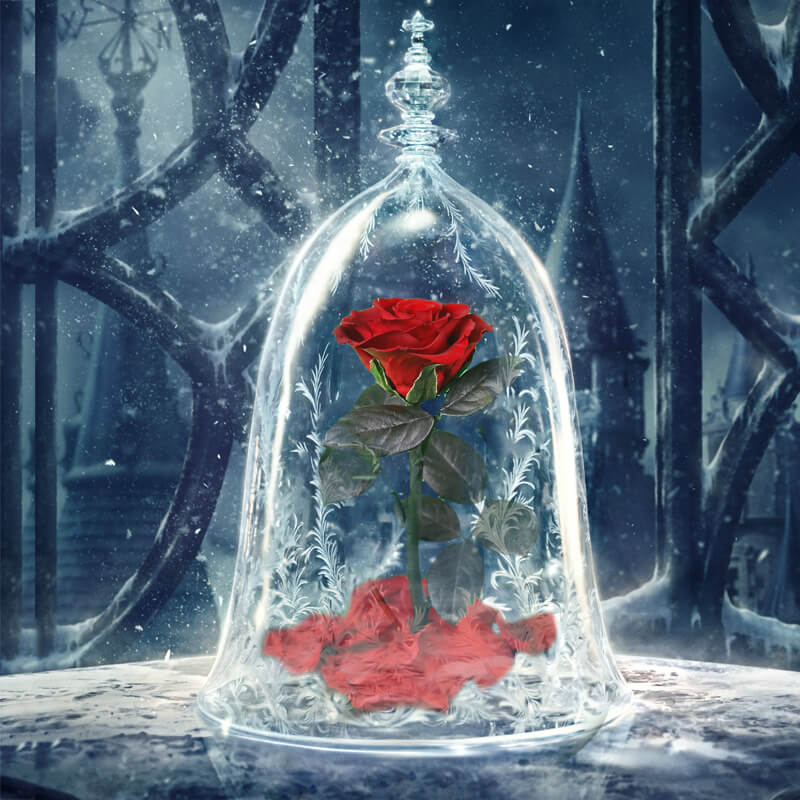 Beauty and the Beast Rose in Glass with Lights, for Christmas Valentine's Day