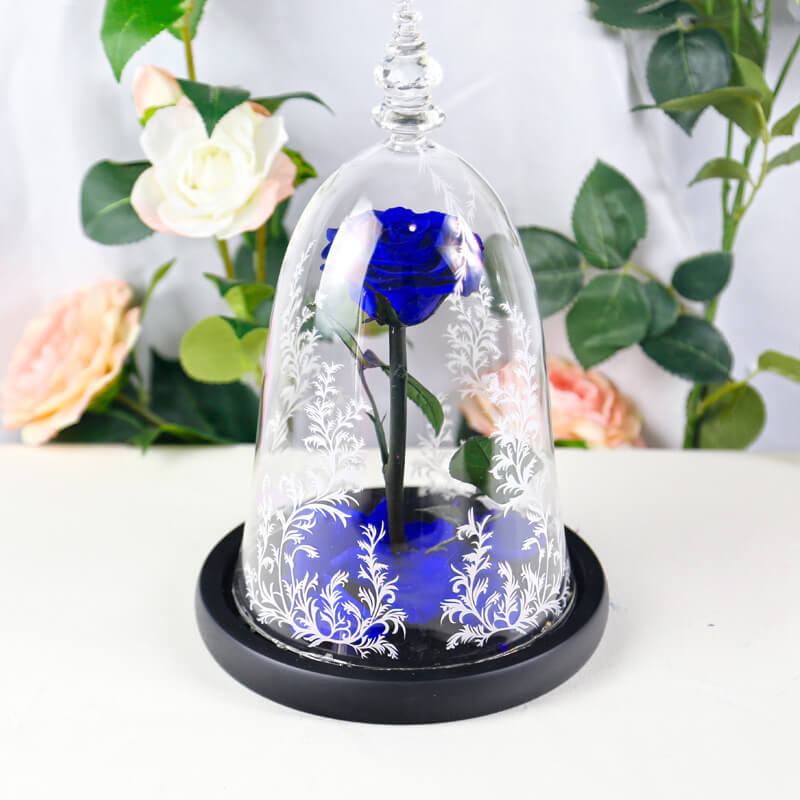 Beauty and the Beast Rose in Glass with Lights, for Christmas Valentine's Day
