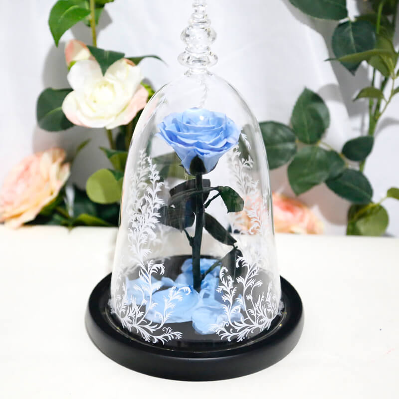 Beauty and the Beast Rose in Glass with Lights, for Christmas Valentine's Day
