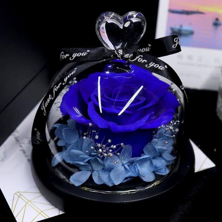 Forever Rose In Glass
